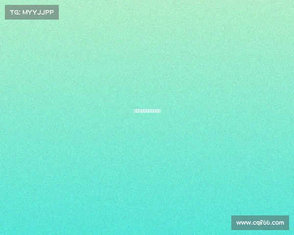 小雪茄品牌排行及价格表